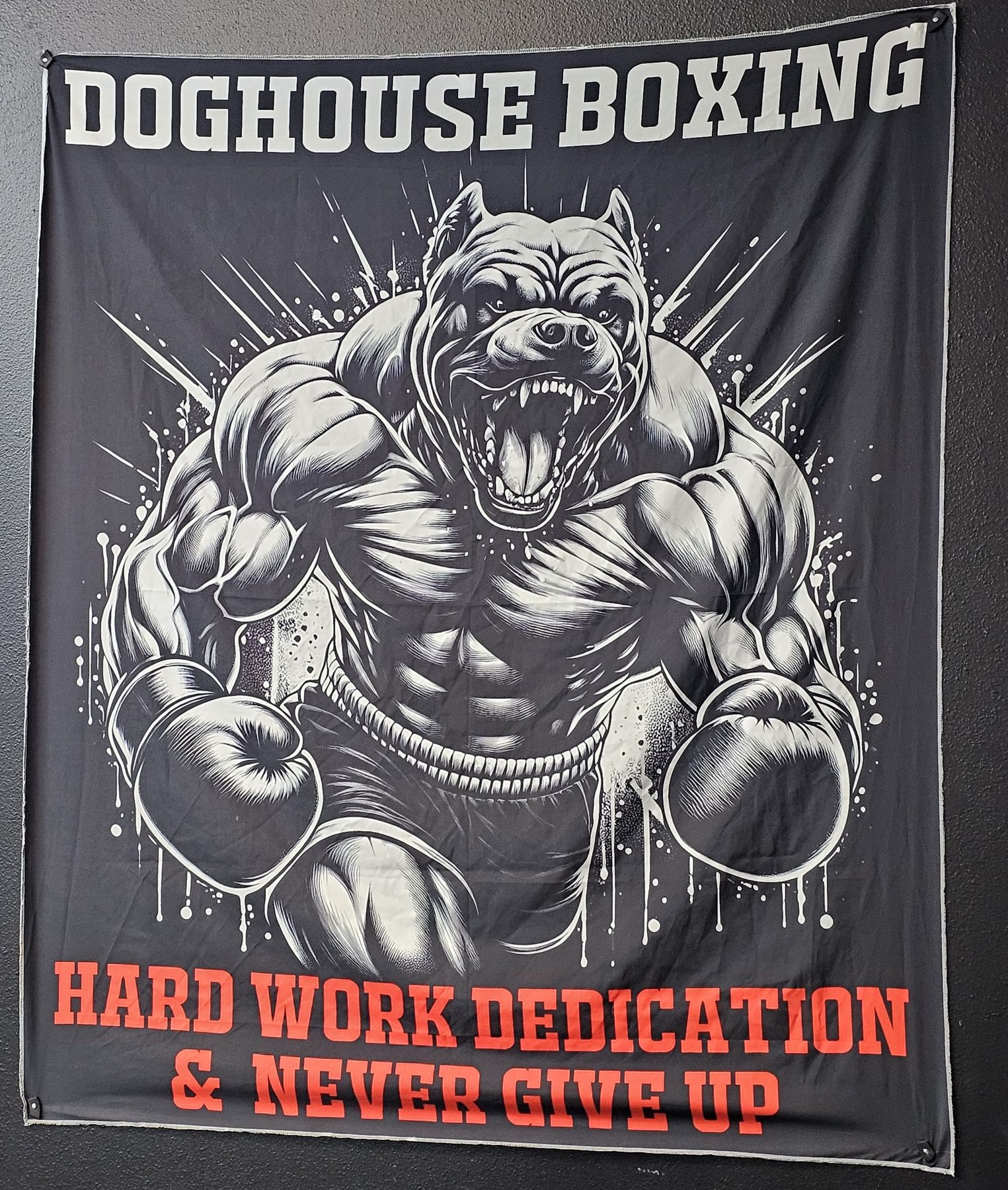 DogHouse Boxing & Fitness banner inside the Ocala gym
